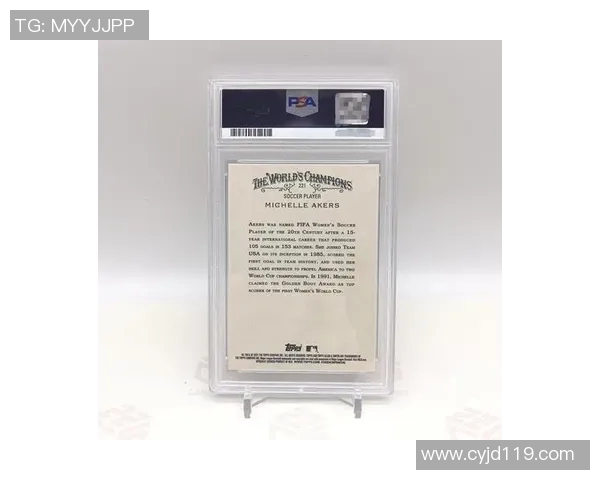 足球明星背后的故事与成就全揭秘，探索他们的辉煌人生与职业生涯