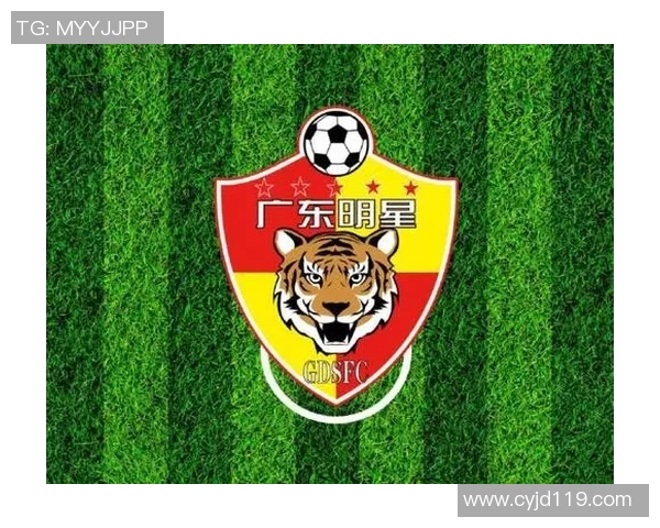 足球明星齐聚一堂打造梦幻球队阵容展现无与伦比的竞技魅力与团队精神