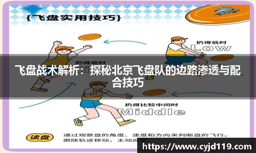 飞盘战术解析：探秘北京飞盘队的边路渗透与配合技巧
